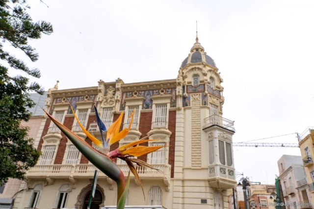 Cartagena impulsa un atlas participativo para conocer su biodiversidad urbana