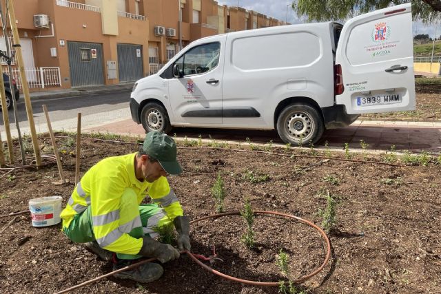 El Ayuntamiento de Cartagena mejora dos espacios verdes en Canteras con nuevas plantaciones y mejoras de riego