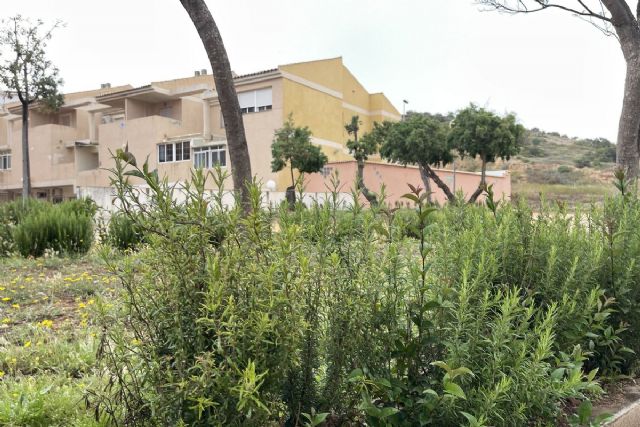 El Ayuntamiento de Cartagena impulsa un plan de choque para la reposición de arbustos