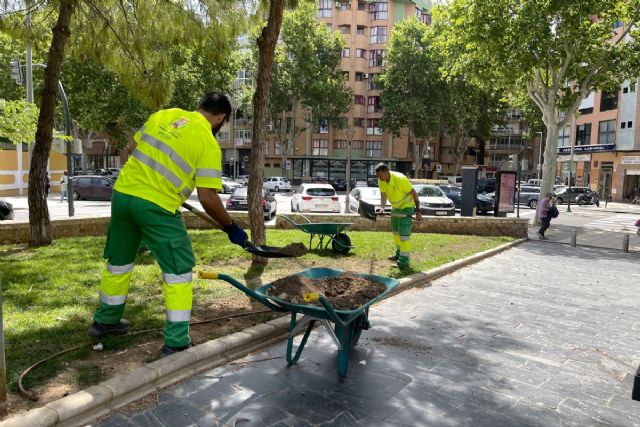 El Ayuntamiento de Cartagena empieza la campaña de resiembra de césped