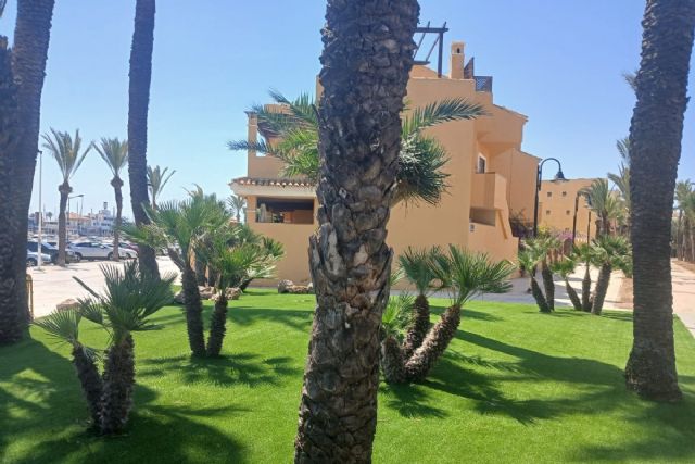 Cartagena renueva espacios verdes en Isla Plana, Cabo de Palos e Islas Menores con nuevas plantaciones sostenibles