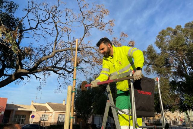 Cartagena suma más de 400 nuevos árboles en el primer semestre del año