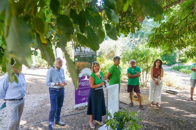 ‘Algarrobo Vivo’ recupera el paisaje de secano como seña de identidad del campo de Cartagena