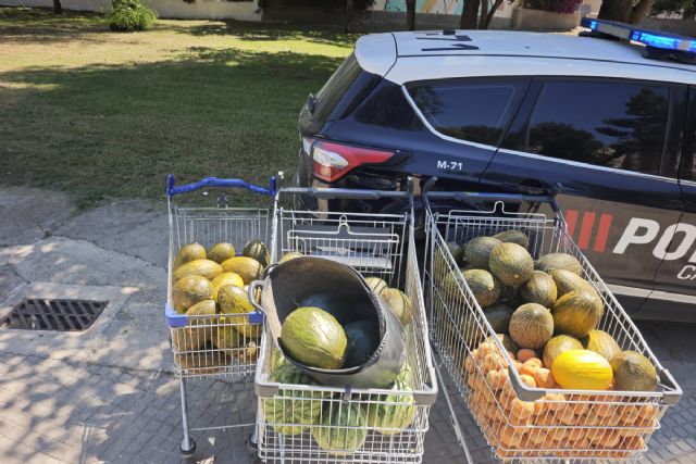Policía Local decomisa 170 kilos de fruta a la venta de forma ilegal en el mercado de Ribera de San Javier 