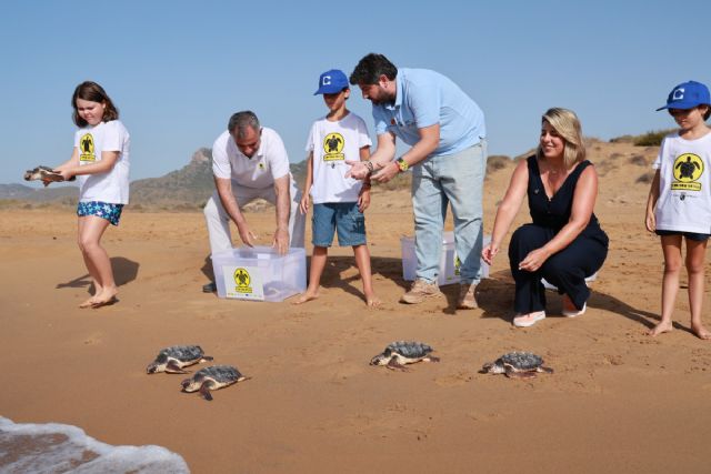 Cartagena se consolida como referente del cuidado y protección de la fauna del Mediterráneo con la suelta de 28 tortugas bobas en Calblanque