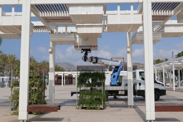 El Ayuntamiento de Cartagena renueva las pérgolas del puerto con más de 600 nuevas plantas