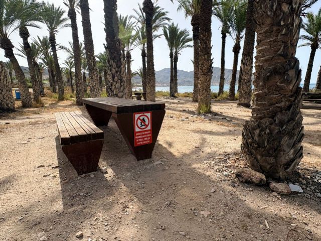 El proyecto de reparcelación del polígono I de San Ginés incorpora la protección del palmeral y la pinada en su desarrollo