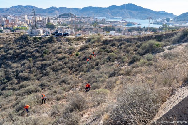 Ayuntamiento y Fundación Repsol dan a conocer el proyecto de La Atalaya a la Mesa de la Reforestación