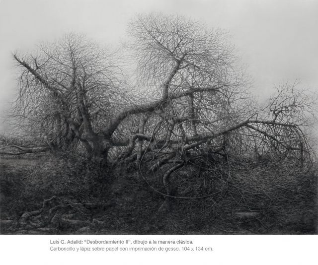 El Palacio de Molina acogera la exposicion los dibujos, los afectos, la mirada de Luis Gonzalez-Adalid