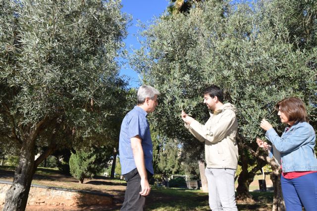 Un alumno de Agrónomos advierte del potencial alergénico del parque de Los Juncos