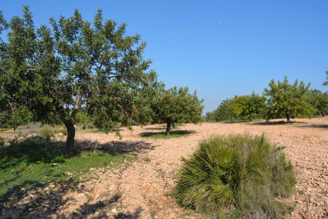 Las centrales solares fotovoltaicas amenazan los paisajes arbolados de secano y monte bajo al Oeste de Cartagena