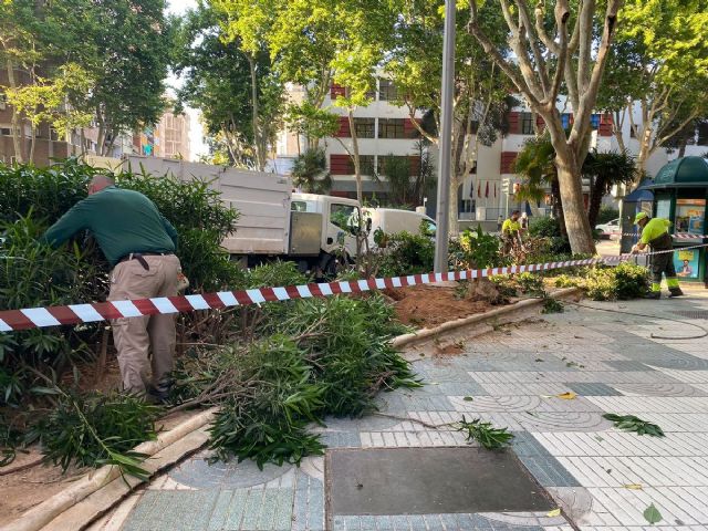 Vía pública acondiciona parterres en el Paseo Alfonso XIII