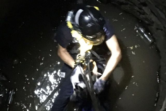 Bomberos de Cartagena rescatan a un perro atrapado en un pozo de Calblanque