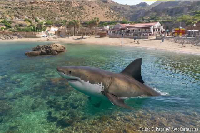 Proyección inmersiva de la película ´Infierno azul´, este sábado en Cala Cortina