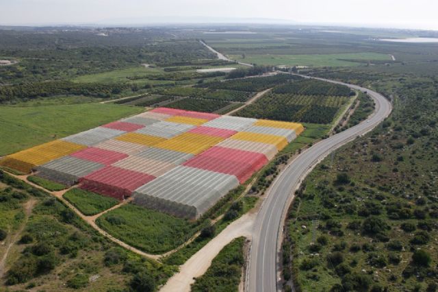 Ensayan con mallas fotoselectivas de sombreo para mejorar los frutos y evitar plagas en el Campo de Cartagena