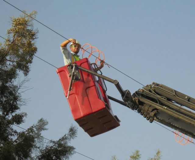 Más protección para la avifauna de las lagunas de Cabezo Beaza (Cartagena)