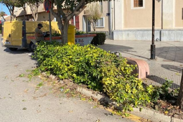 El Distrito 2 destina más de 13 mil euros a reformas en La Aljorra, El Albujón y Pozo Estrecho