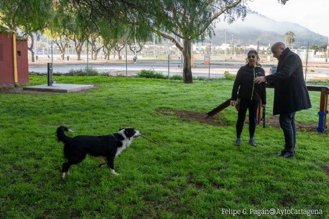 Cartagena cuenta con nuevo parque canino junto al Cartagonova y abrirá dos más en Santa Ana y Cabo de Palos