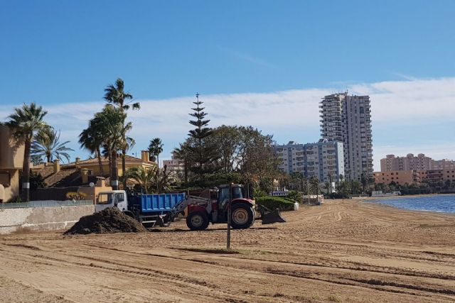 Litoral continúa con la limpieza y mantenimiento de arenales del Mar Menor retirando biomasa