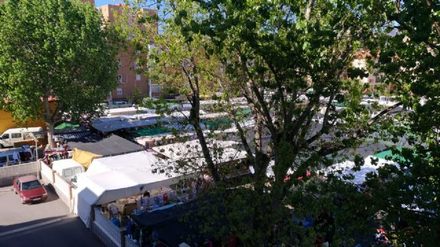 Ciudadanos arremete contra la situación del arbolado en el municipio de Cartagena y pide soluciones urgentes