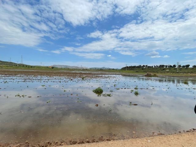 MC exige que se depuren responsabilidades sobre la gestión de las aguas residuales en Cartagena
