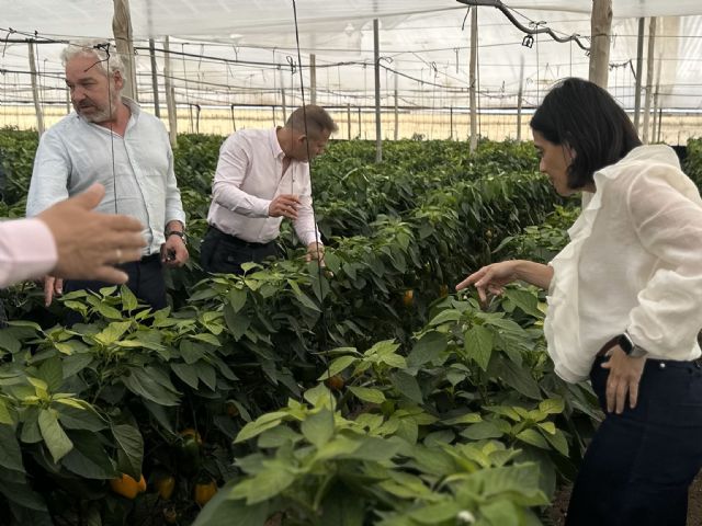 MC y el Movimiento Regional Municipalista reafirman su compromiso contra el recorte del Trasvase Tajo-Segura