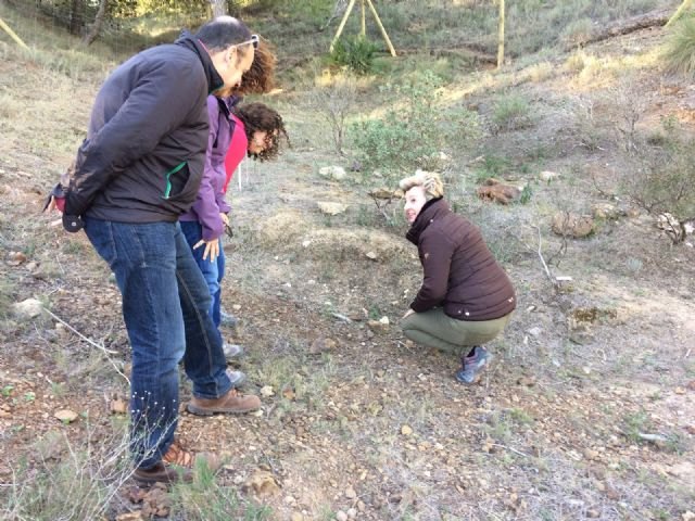 La Comunidad crea seis nuevos núcleos de población de jara de Cartagena, especie en peligro crítico de extinción