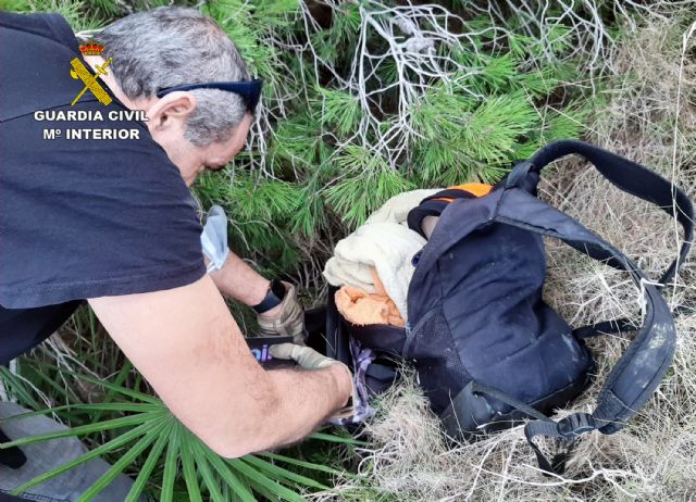 La Guardia Civil detiene a un grupo de jóvenes que fueron sorprendidos por los propietarios de una vivienda mientras robaban