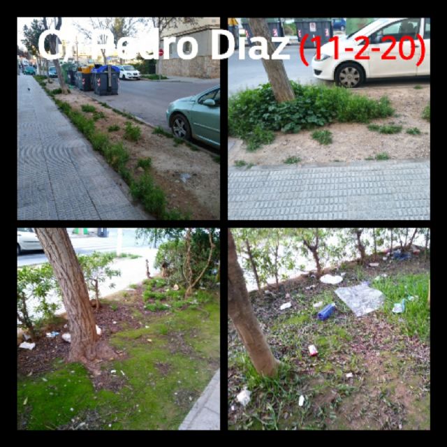 MC: Castejón y Arroyo abandonan los parques y jardines del municipio mientras ´decoran´ el centro con flores que se les caen