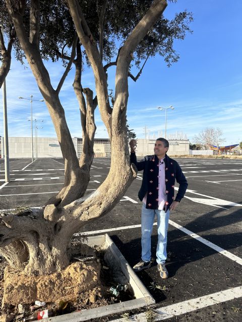 MC toma la iniciativa en revegetación del municipio y reclama que se reúna la mesa al efecto