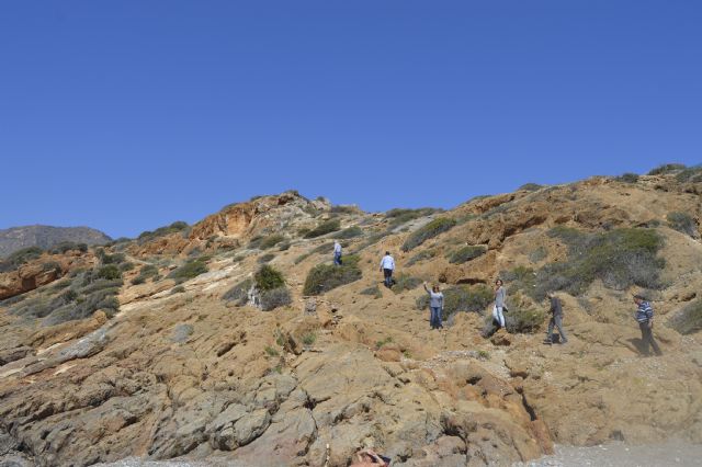 CTSSP: Los usuarios de Playa Morena siguen sin tener un acceso en condiciones