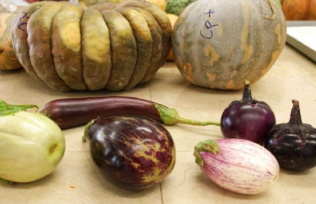 Los agricultores recibiran un curso gratuito de diferenciacion y calidad del producto agricola