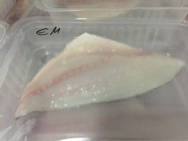 Una patente de la UPCT reduce la agonía de los peces de acuicultura mejorando su calidad y vida útil