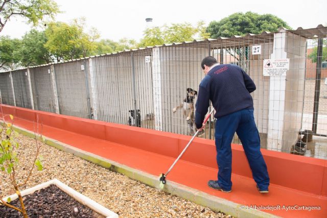Calidad de Vida promueve los trabajos de acondicionamiento del CATAD para mejorar el bienestar de los animales