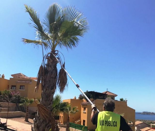 Desarrollo Sostenible ejecuta labores de adecuacion de jardines en La Azohia e Isla Plana
