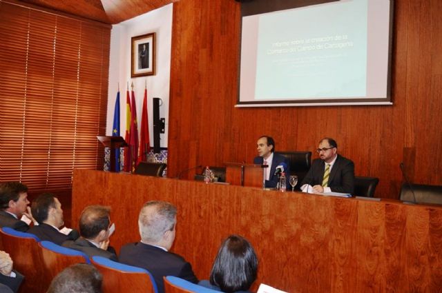 La Comarca del Campo de Cartagena optimizaria los recursos publicos y vertebraria el terrirotio