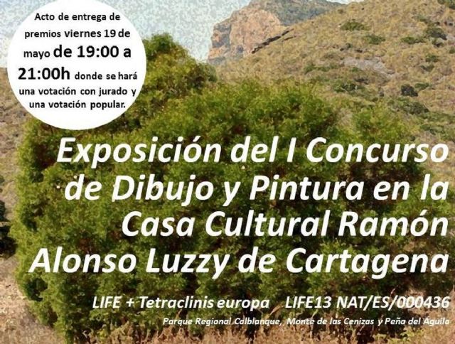 El Luzzy alberga desde esta tarde una exposicion de dibujo y pintura sobre el cipres cartagenero