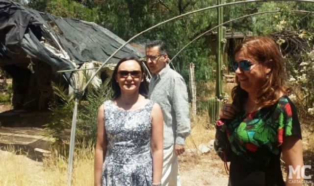 MC defenderá medidas que apuestan por la mejora medioambiental y de accesibilidad en el municipio