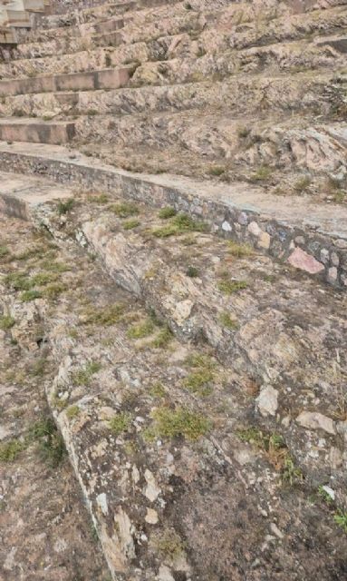 MC denuncia la falta de mantenimiento del Teatro Romano a las puertas de la Noche de los Museos