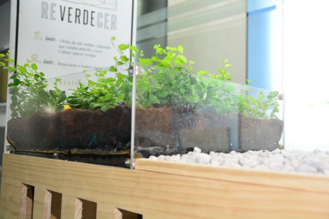 Cuatro arquitectos por la UPCT crean una empresa de de cubiertas vegetales e infraestructuras verdes