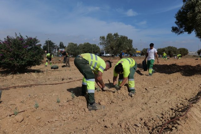 La rotonda de Las Tejeras se renueva para embellecer el entorno y mejorar su sostenibilidad