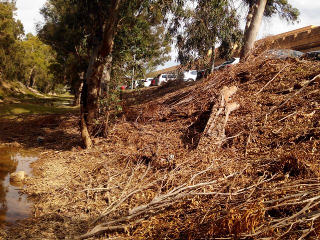 Cs critica a la CHS por actuar en las ramblas dos meses después de la gota fría y que siga ignorando a la Algameca