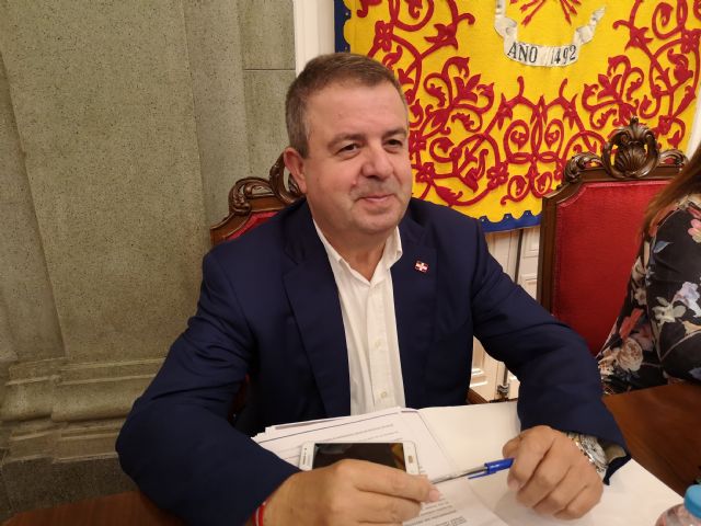 MC reclamará que se actúe sobre la proliferación del insecto 'procesionaria' en los pinos de San José Obrero