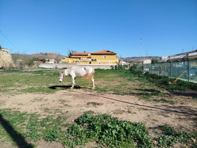 El Partido Cantonal denuncia que el Ayuntamiento da carpetazo al nuevo consultorio de Alumbres