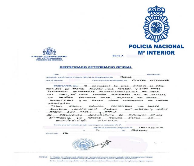 Detenida, por maltrato animal, al matar y lesionar a varios perros