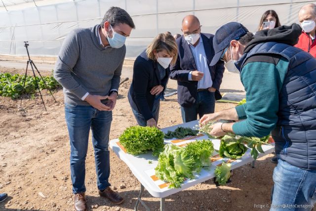 Cartagena se sitúa a la vanguardia en investigación e innovación de la mejor agricultura europea
