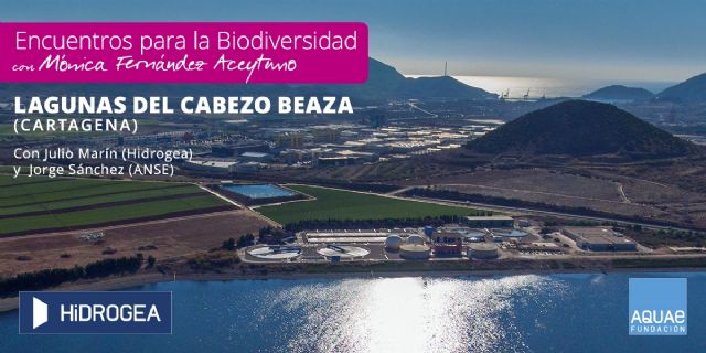 Evolución 'verde' de las lagunas del Cabezo Beaza, en Cartagena