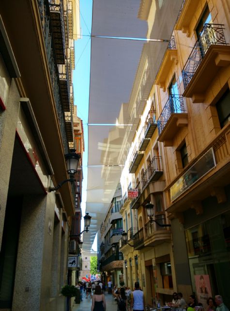 Ciudadanos recrimina al Gobierno municipal el incumplimiento del Plan de Sombra para Cartagena aprobado por el Pleno