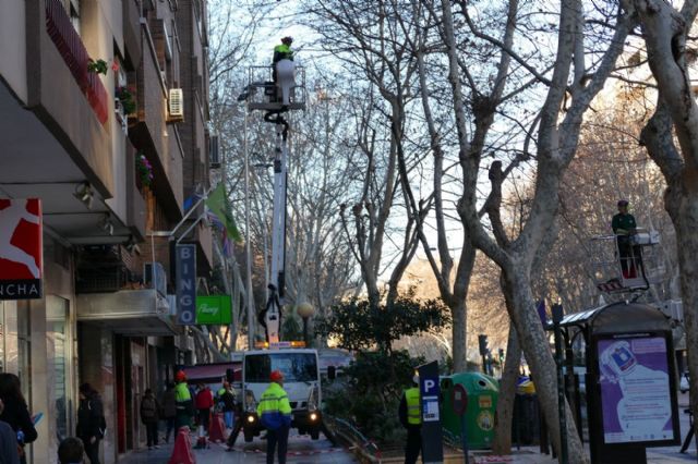El Ayuntamiento poda cerca de cuatrocientos plátanos orientales para evitar caídas de ramas y molestias a los vecinos