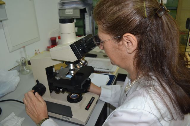 La Politécnica propone un estudio exhaustivo de la calidad del aire para analizar los riesgos ambientales y sanitarios